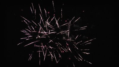 #26043 盆花1.0 16发数