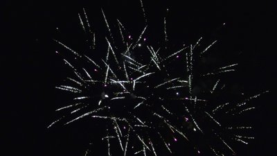 #26043 盆花1.0 16发数