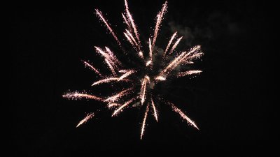 #26040 Cakes 30x0.8"/25x1.0" 55 shots