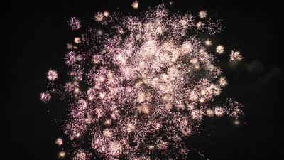 #26039 Compact 1.0 49 coups