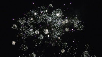 #26038 盆花54x0.8"/4x1.0" 58发数