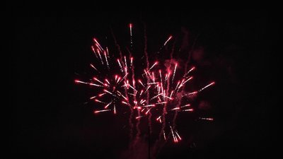 #26034 Tortas 0.8 50 tiros