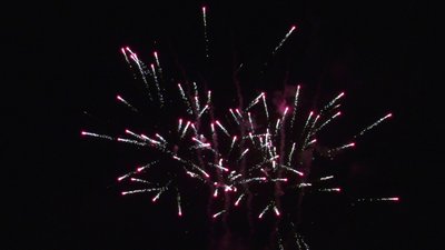 #26034 Tortas 0.8 50 tiros