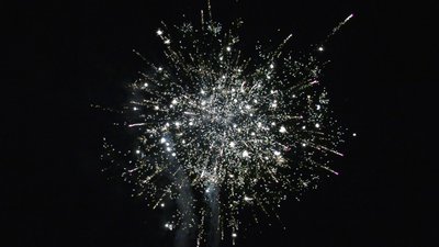 #25998 盆花1.0 144发数