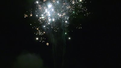 #25740 盆花24x0.5"/18x0.8" 42发数