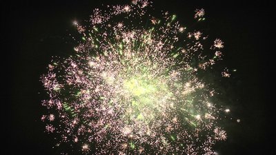 #25833 盆花1.2 138发数