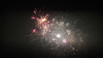 #25833 盆花1.2 138发数