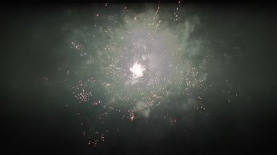 #25885 Module Cakes 0.8 100 shots