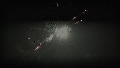 #25867 Module 盆花1.1 19发数