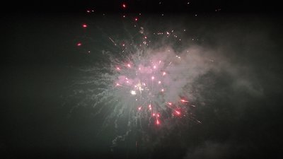 #25877 Module 盆花0.8 49发数