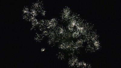 #25858 Module Cakes 1.1 19 shots