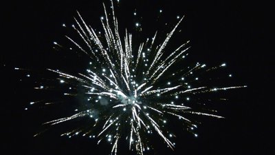 #25778 Module 盆花1.0 36发数