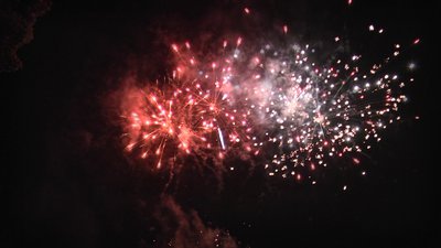 #26202 Cakes 1.2 20 shots