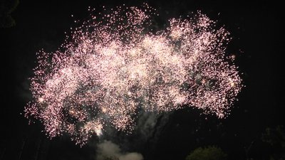 #26218 Compact 160x0.4"/20x0.8" 180 coups