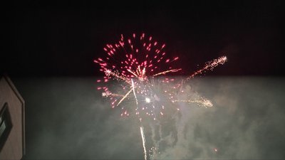 #25776 盆花1.2 150发数