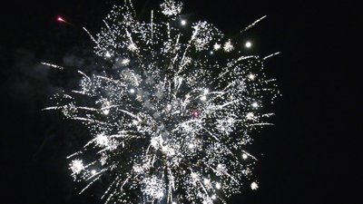 #26243 盆花1.0 36发数