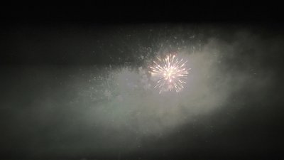 #26133 Cakes 1.2 100 shots