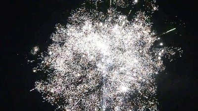 #25521 Cakes 2.0 49 shots