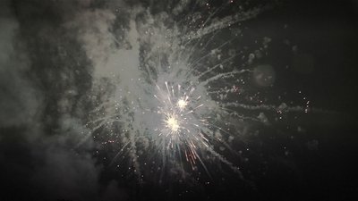 #25415 Cakes 1.2 48 shots