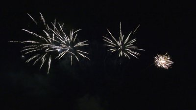 #26316 Compact 132x0.43"/48x0.6"/4x1.0" 184 coups