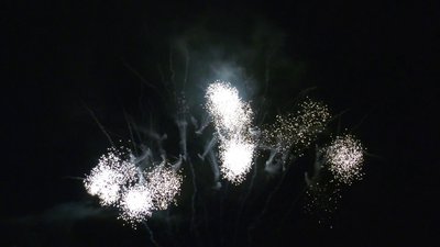 #26323 盆花68x0.8"/7x1.0" 75发数