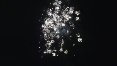 #26427 Cakes 1.2 36 shots