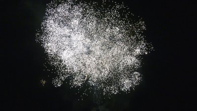 #26449 盆花1.2 36发数