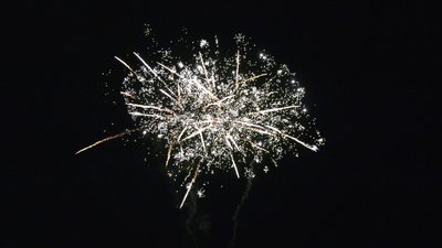 #26461 Cakes 1.2 60 shots