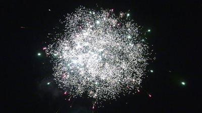 #26466 盆花1.2 80发数