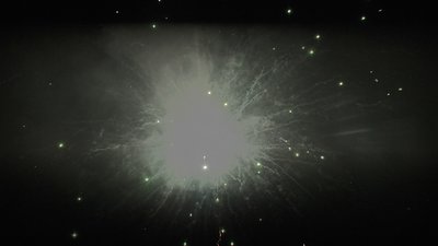 #26095 盆花1.0 100发数