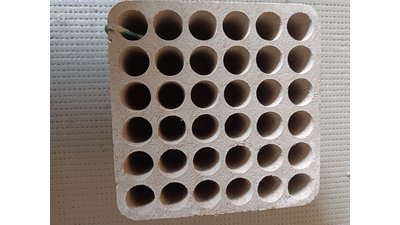 #24965 Module Cakes 0.8 36 shots