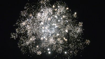 #26661 Module 盆花1.0 48发数