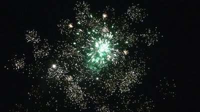 #25662 Module 盆花0.8 49发数