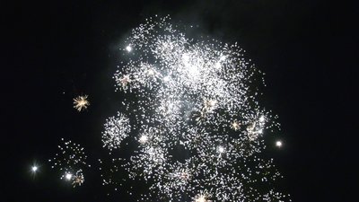 #26728 Module Cakes 0.8 25 shots