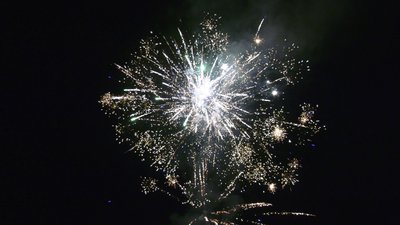 #25886 Module Cakes 0.8 100 shots