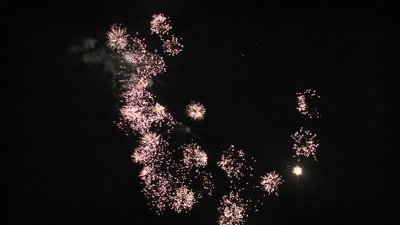 #26360 Cakes 0.8 16 shots