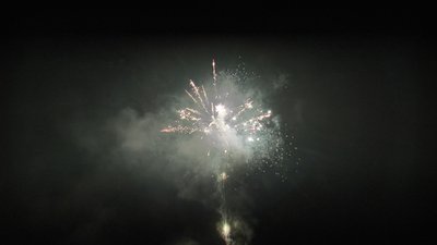 #25799 Module 盆花1.1 100发数