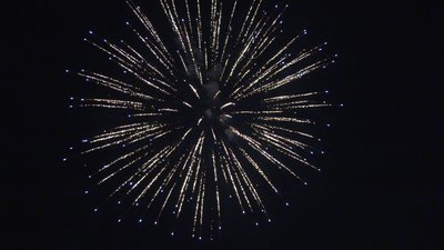 #27469 Cakes 3.0 25 shots