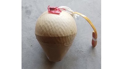 #27716 Shell 8.0"