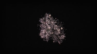 #27730 Module Cakes 1.1 20 shots