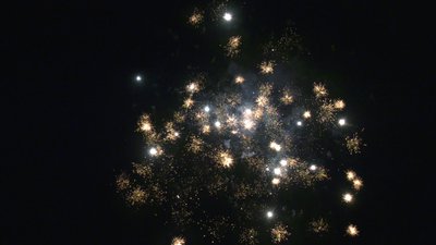 #25660 Module 盆花0.8 16发数