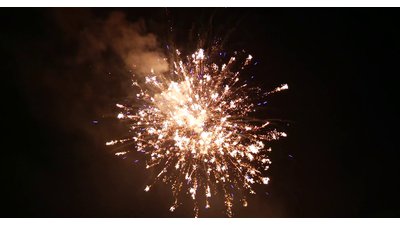 #25622 Module 盆花1.0 36发数