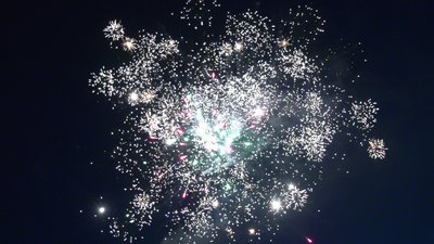 #25623 Module 盆花1.0 48发数