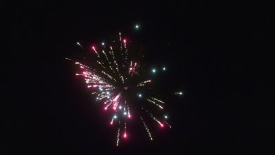 #28702 Cakes 0.8 20 shots