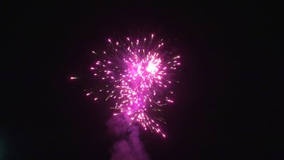 #28704 Cakes 0.8 56 shots