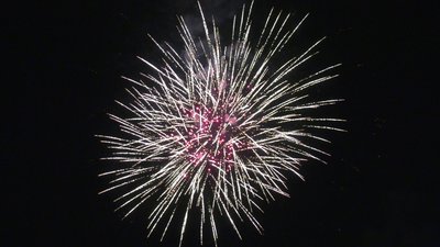 #28744 Cakes 2.75 36 shots