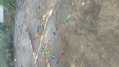 #28756 Party Popper 30.0cm d5.0