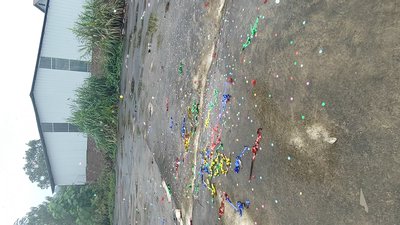 #28754 Party Popper 30.0cm d5.0