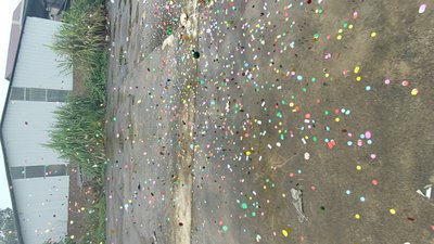 #28754 Party Popper 30.0cm d5.0