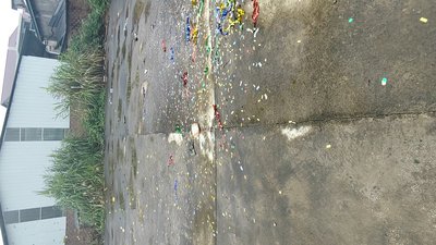 #28762 Party Popper 30.0cm d5.0